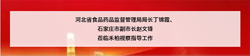 ?河北省食品藥品監(jiān)督管理局局長丁錦霞、 石家莊市副市長趙文鋒 蒞臨禾柏視察指導(dǎo)工作