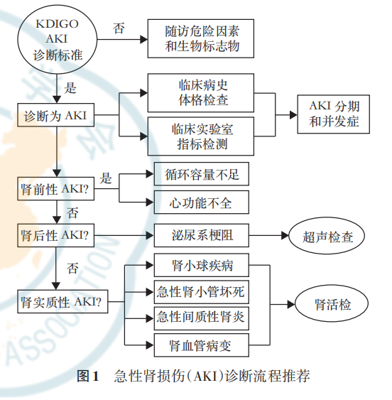 共識(shí)速讀|中國(guó)急性腎損傷臨床實(shí)踐指南