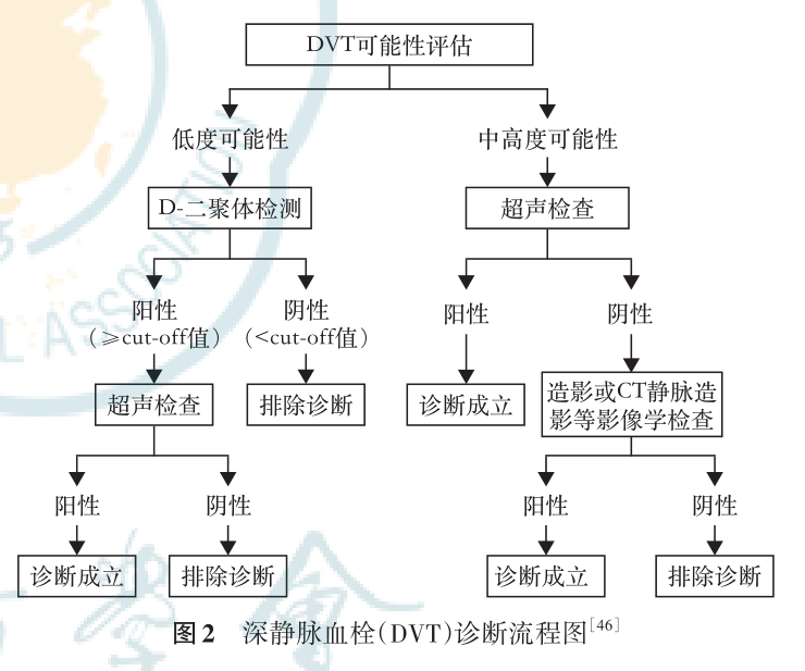 干貨快碼！D-二聚體9科室的臨床應(yīng)用